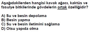 dpy5sinifakitapcigisoru_068