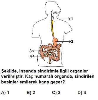 dpy5sinifakitapcigisoru_073