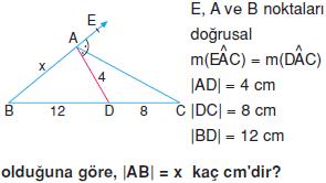 ucgen-aciortay-ve-teget-cemberler-konu-testi-9