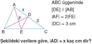 ucgen-ucgenlerin-benzerligi-konu-testi-2-10