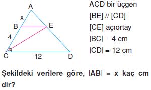 ucgen-ucgenlerin-benzerligi-konu-testi-6