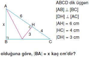 ucgenin-alani-konu-testi-12