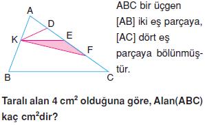 ucgenin-alani-konu-testi-13