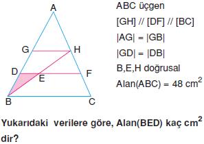 ucgenin-alani-konu-testi-24