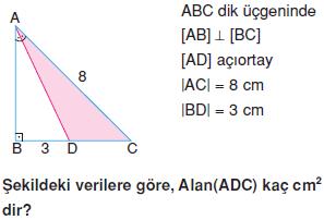 ucgenin-alani-konu-testi-6
