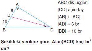 ucgenin-alani-konu-testi-7