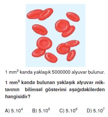 uslu-sayılar-ornek-68