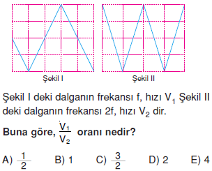 Dalgalar-konu-testi-6