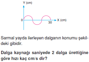 Dalgalar-konu-testi-8