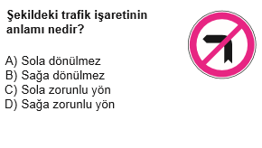 trafik15