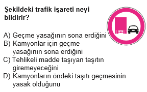 trafik17