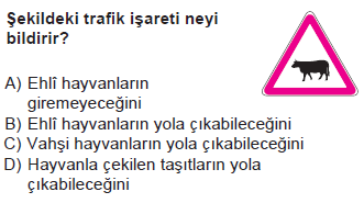 trafik4